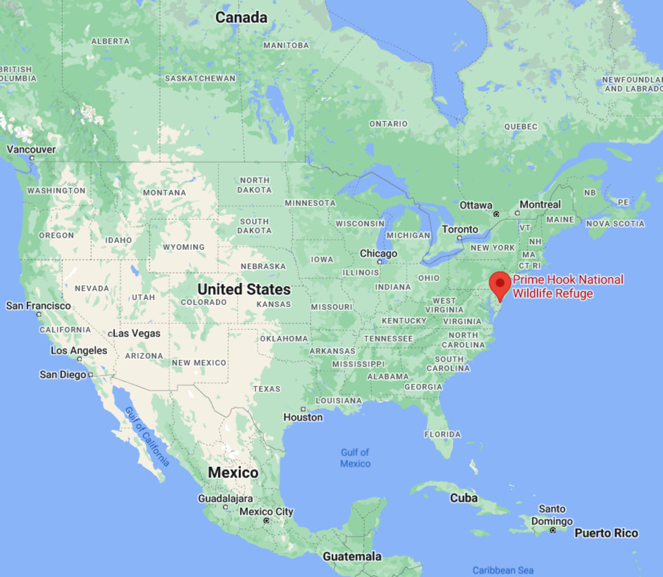 Prime Hook Swamp Creature of Delaware Into Horror History J.A